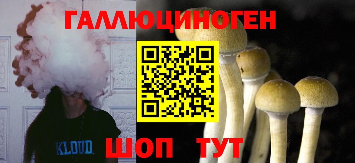как найти закладки  Псилоцибиновые грибы MAGIC MUSHROOMS  Гусь-Хрустальный  Вход с VPN  Галлюциногенные грибы мухоморы 