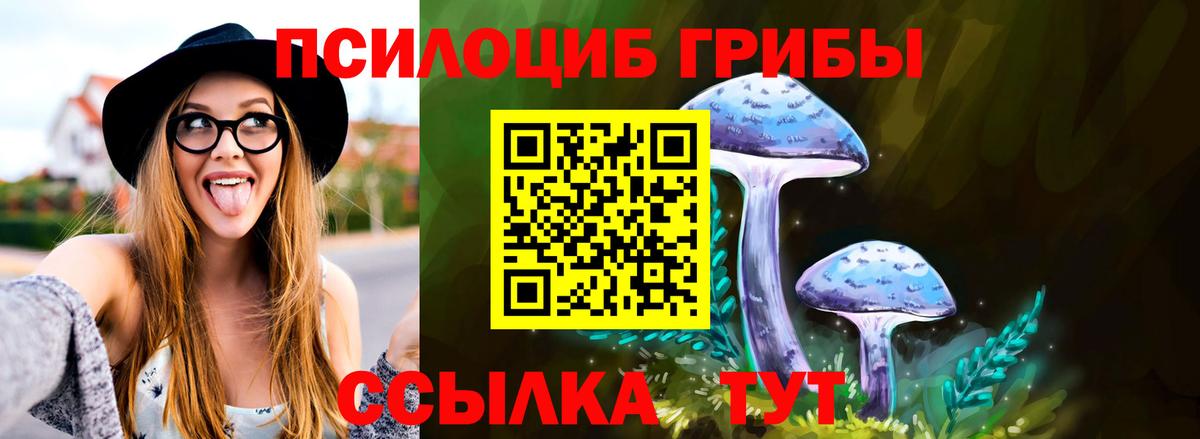 Галлюциногенные грибы Psilocybine cubensis Гусь-Хрустальный